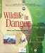 Wildlife In Danger