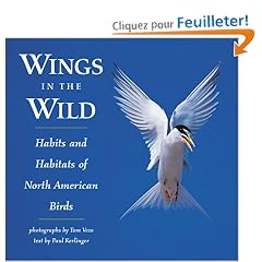 Wings in the Wild: Habits and Habitats of North American Birds