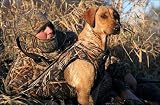 Avery Standard Dog Parka - Shadow Grass Color
