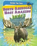 North America's most amazing animals