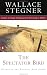 The Spectator Bird (Contemporary American Fiction)