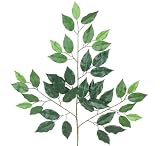 TWO Dozen (24 pieces) of 24" Ficus Spray with a total of 1008 leaves