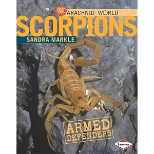 Scorpions: Armored Stingers (Arachnid World)