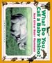 What Do You Call a Baby - Rhino? And Other Baby Mammals
