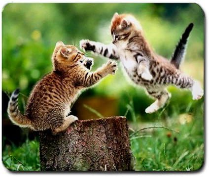 Battle of Kittens Mouse Pad