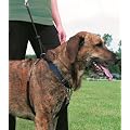Trixie 1303 EasyWalk-Erziehungsgeschirr, L: 45-65 cm/25 mm