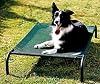 Coolaroo Pet Bed