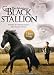 Search : Adventures of the Black Stallion: Season One 2