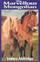 The Marvellous Mongolian