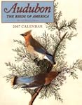 Audubon: The Birds of America