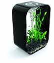 biOrb Life 45 Aquarium, 12 Gallons, Piano Black