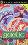 Teach Yourself Gaelic: A Complete Course for Beginners