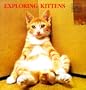 Exploring Kittens