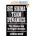 Six Sigma Team Dynamics: The Elusive Key to Project Success
