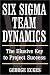 Six Sigma Team Dynamics: The Elusive Key to Project Success