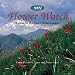 Book Flower Watch: A Guide to the Cape's Floral Wonders