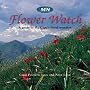 MTN Flower Watch: A Guide to the Cape's Floral Wonders