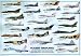 Modern Warplanes Poster Print, 39x27