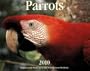 Parrots 2010: Endorsed by The World Parrot Trust: Saving Parrots Worldwide Since 1989 (Calendar)