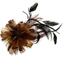 Acosta - Brown & Black Feather Spray - Flower Hair Clip / Brooch / Fascinator