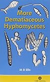More dematiaceous hyphomycetes