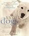 Angel Dogs: Divine Messengers of Love