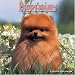 pomeranian33  - Pomeranians 2008 Wall Calendar