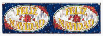 Beistle - 22494 - FR Metallic Feliz Navidad Fringe Banner- Pack of 12
