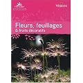 Fleurs, feuillages & fruits d�coratifs