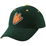 Top of the World Oregon Ducks Youth Green Logo 1-Fit Hat