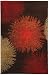 Safavieh Soho Collection Explosions Handmade Brown New Zealand Wool Area Rug, 5-Feet by 8-Feet