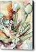 Venus Fly Trap Canvas Print / Canvas Art - Artist Mindy Newman