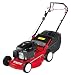 Efco LR44-TK 16-inch Self Propelled Petrol Lawnmower
