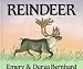 Reindeer