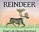 Reindeer