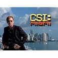 CSI: Miami Season 6