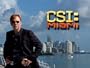 CSI: Miami, Season 4