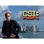 CSI: Miami Season 6