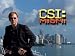 CSI: Miami