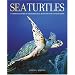 Sea turtles and their conservation... a Top Five list