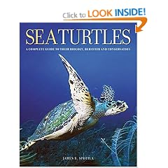 Sea Turtles: A Complete Guide to Their Biology, Behavior, and Conservation