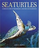 Sea Turtles: A Complete Guide to Their Biology, Behavior, and Conservation