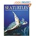 Sea Turtles: A Complete Guide to Their Biology, Behavior, and Conservation