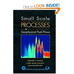 Small Scale Process in Geophysical Fluid Flows