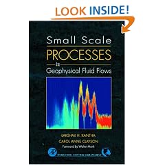 Small Scale Process in Geophysical Fluid Flows
