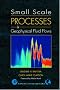 Small Scale Process in Geophysical Fluid Flows