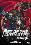 New Fist of the North Star, Vol. 2: The Forbidden Fist