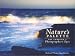 Nature's Palette: Art Through a Photographer's Eyes by Michael Thomas Impellizzeri