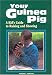 Your Guinea Pig : A Kid's Guide to Raising and Showing