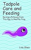 Tadpole Care and Feeding - Raising a Pollywog from Tiny Egg to Healthy Frog!